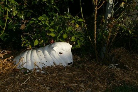 Photo of property in 18 Wither Road, Witherlea, Blenheim, 7201