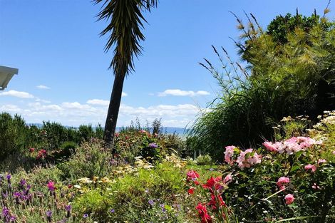 Photo of property in 101 Edward Street, Thames, 3500