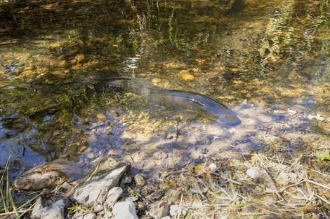 Photo of property in 101a Bulls Run Road, Moonshine Valley, Upper Hutt, 5381