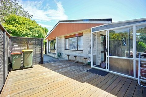 Photo of property in 47a Moehau Street, Te Puke, 3119