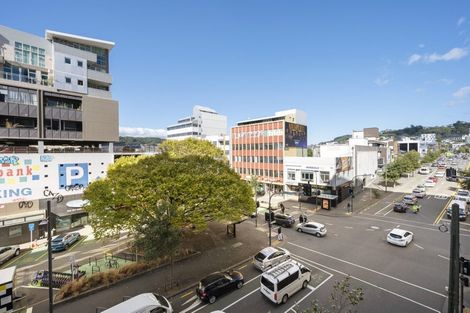 Photo of property in Vsp South, 306/168 Victoria Street, Te Aro, Wellington, 6011