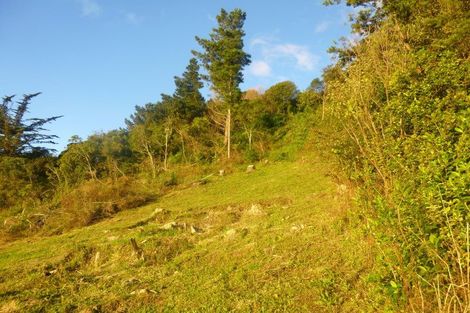 Photo of property in 37 Ruapehu Street, Paraparaumu, 5032