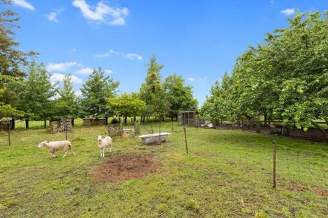 Photo of property in 237 Ngarua Road, Waitoa, 3380