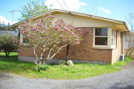 Photo of property in 45a Corlett Street, Utuhina, Rotorua, 3015
