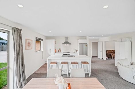 Photo of property in 17a Normanby Street East, Rakaia, 7710