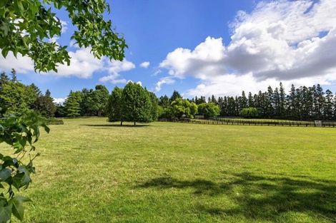 Photo of property in 248 Pencarrow Road, Tamahere, Hamilton, 3283