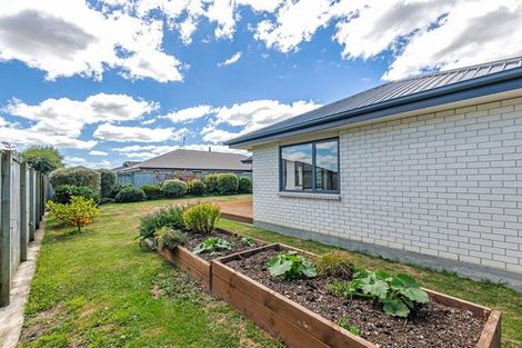Photo of property in 19 Accolade Street, Feilding, 4702