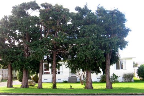 Photo of property in 71 Bell Street, Featherston, 5710