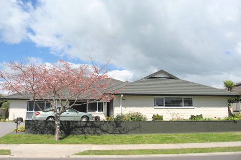 Photo of property in 108 Bethlehem Heights, Bethlehem, Tauranga, 3110