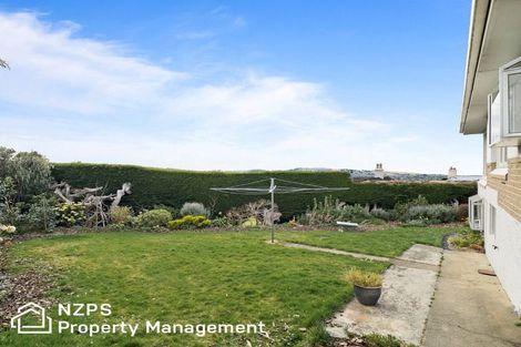 Photo of property in 146a Highgate, Roslyn, Dunedin, 9010