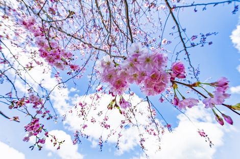 Photo of property in 64 Brookside Road, Rolleston, 7614