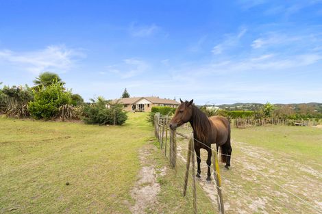 Photo of property in 121 Haruru Falls Road, Haruru, 0204