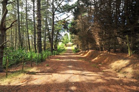 Photo of property in 325 Sim Road, Paerata, Pukekohe, 2676