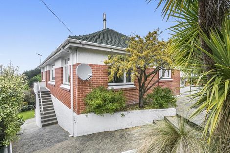 Photo of property in 163 Easther Crescent, Kew, Dunedin, 9012