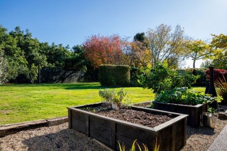 Photo of property in 293 Plummers Point Road, Whakamarama, Tauranga, 3172