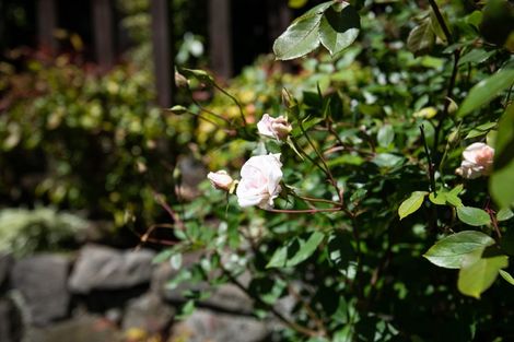 Photo of property in 72 Churton Drive, Churton Park, Wellington, 6037