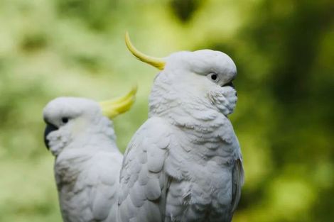 Photo of property in 1314 Wairamarama Onewhero Road, Onewhero, Tuakau, 2697