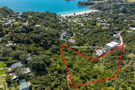 Photo of property in 41 Miro Road, Palm Beach, Waiheke Island, 1081