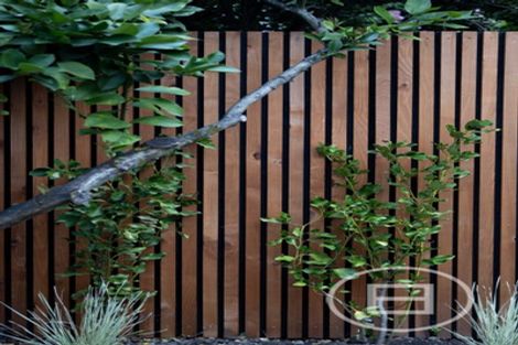 Photo of property in 3/44 Ranfurly Street, St Albans, Christchurch, 8014