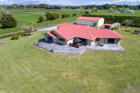 Photo of property in 81a Horrell Road, Morrinsville, 3374