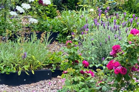 Photo of property in 58 Ames Street, Paekakariki, 5034