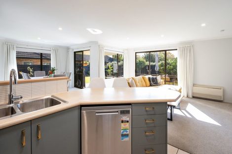 Photo of property in 3 Antoine Grove, Richmond, 7020