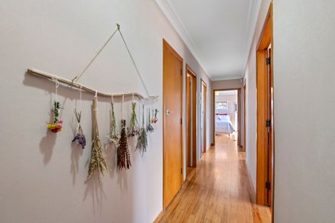 Photo of property in 67 Station Road, Matamata, 3400