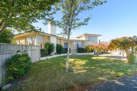 Photo of property in 41 Richmond Avenue, Takaro, Palmerston North, 4410