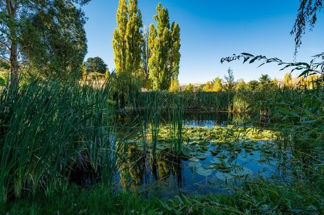 Photo of property in Stone House Gardens, 3196 Fruitlands-roxburgh Road, Coal Creek Flat, Roxburgh, 9571