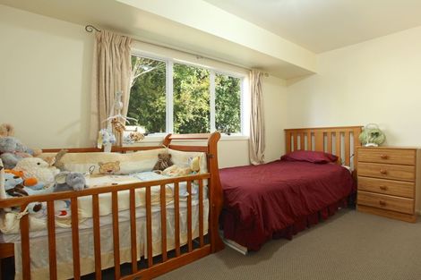 Photo of property in 446c Thames Street, Morrinsville, 3300