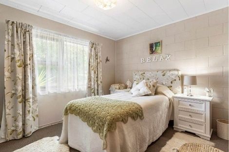 Photo of property in 19a Bledisloe Court, Pukekohe, 2120