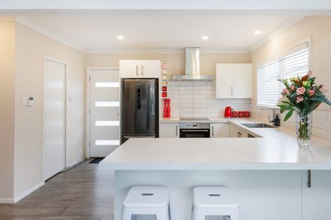 Photo of property in 394 Ruahine Street, Terrace End, Palmerston North, 4410