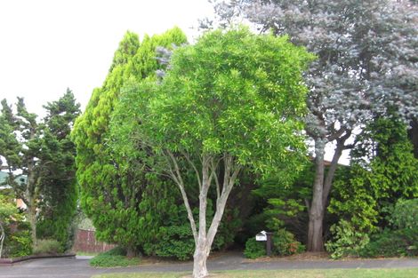 Photo of property in 37 Trevola Street, New Windsor, Auckland, 0600