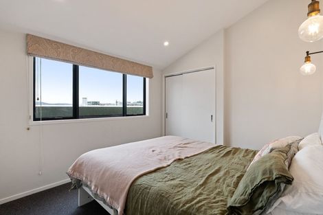 Photo of property in Madison On Tory, 5/148 Tory Street, Te Aro, Wellington, 6011