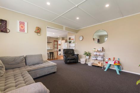 Photo of property in 24 Snowdon Avenue, Terrace End, Palmerston North, 4410