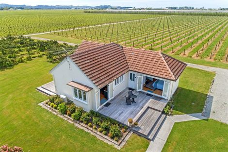 Photo of property in 166 Main Road, Matawhero, Gisborne, 4071