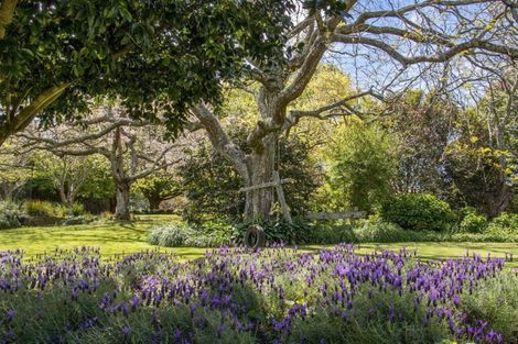 Photo of property in 76 Pukakura Road, Katikati, 3178
