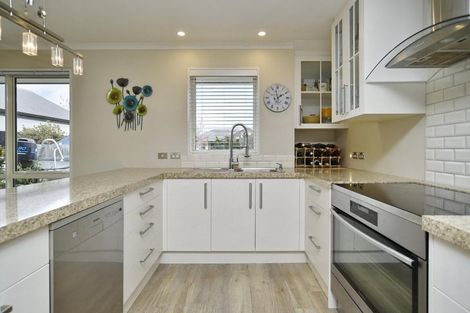 Photo of property in 103 Metehau Street, Marshland, Christchurch, 8083