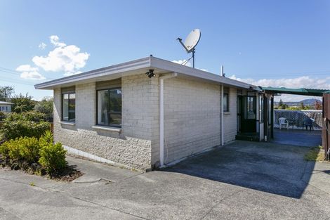 Photo of property in 46 Norman Smith Street, Nukuhau, Taupo, 3330