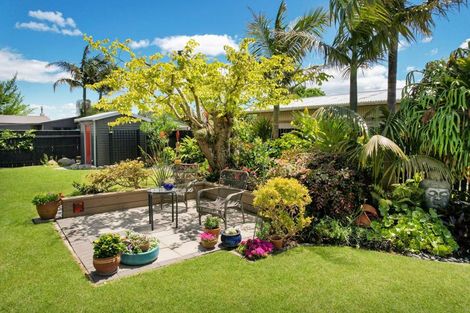 Photo of property in 244a King Street, Whakatane, 3120