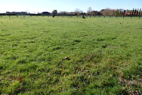 Photo of property in 12 Brinkworth Road, Tamahere, Cambridge, 3493