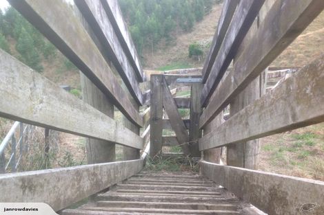 Photo of property in 257 Maungakawa Road, Cambridge, 3496