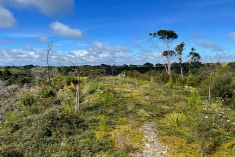 Photo of property in 225a Awhitu Central Road, Awhitu, 2684