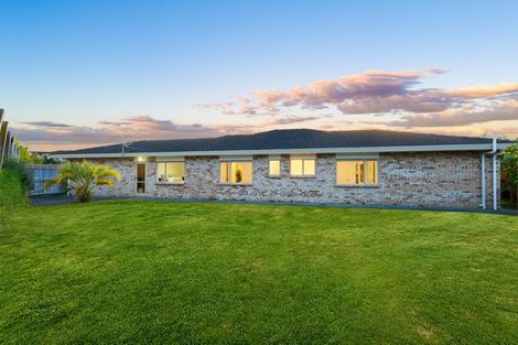 Photo of property in 17 Gendo Avenue, Henderson, Auckland, 0612