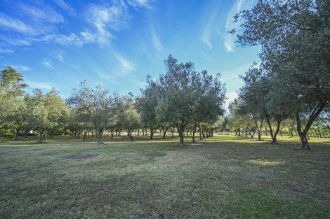 Photo of property in 47 Equestrian Lane, Bridge Pa, Hastings, 4175