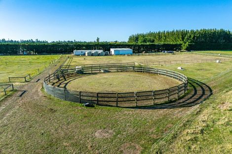 Photo of property in 388 Waireka Road, Darfield, 7571