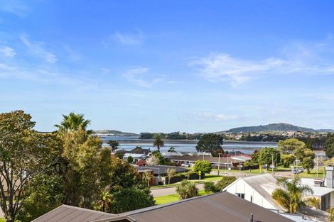 Photo of property in 36 Fourteenth Avenue, Tauranga South, Tauranga, 3112