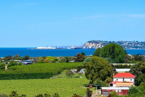 Photo of property in 15 Terrace Road, Bay View, Napier, 4104