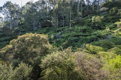 Photo of property in 63 Orchard Road, Hahei, Whitianga, 3591