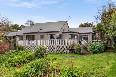Photo of property in 21a Toop Street, Havelock North, 4130